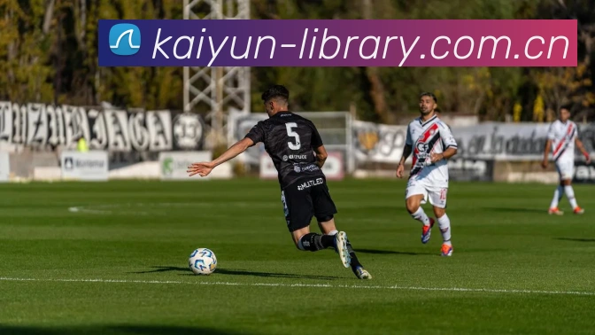 开云平台生态图